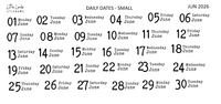 2026 | Back to Basics - DAILYS (Mini)