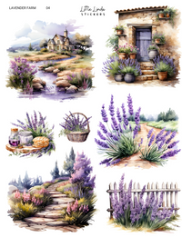 Lavender Farm | 03 - 04